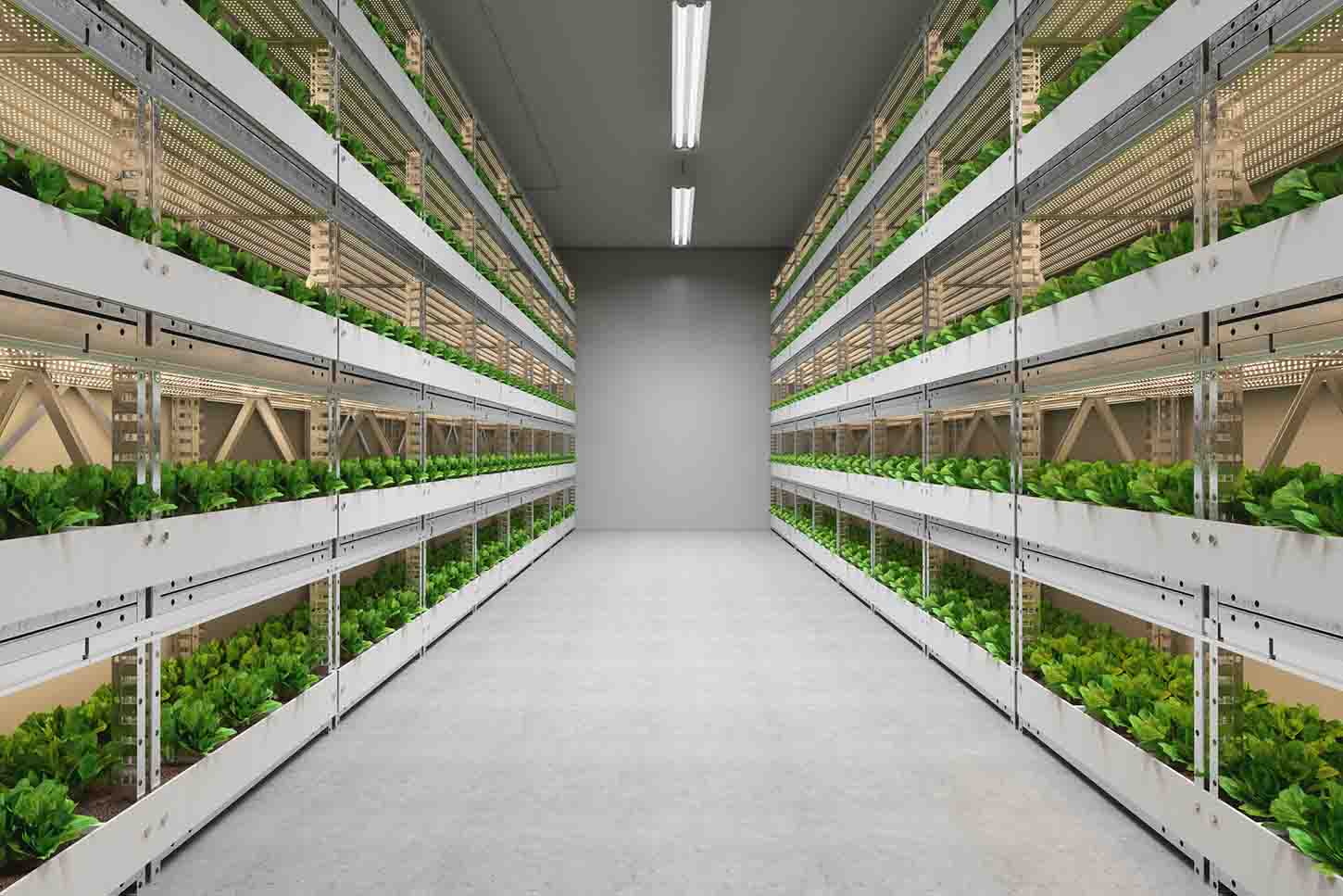世界の食糧危機とフードデザートを解決する、モジュール式垂直農園