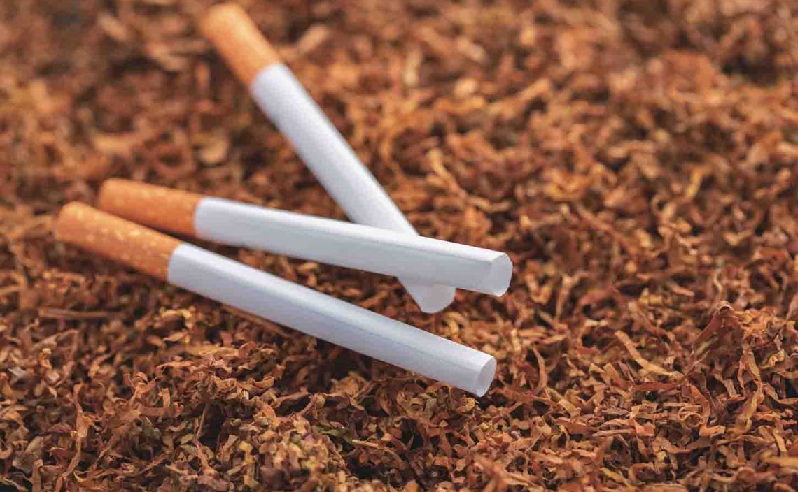 ケニアで始まる、タバコ栽培撤退プロジェクト